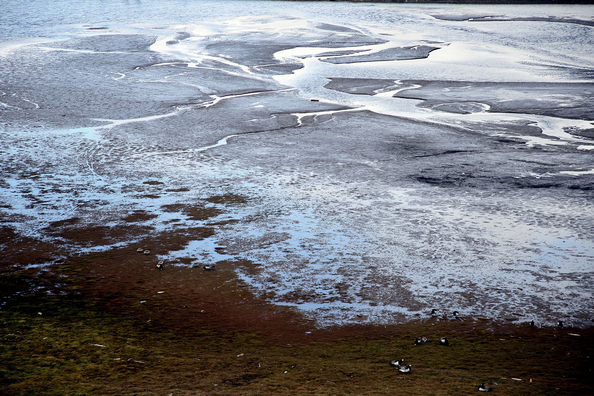 Dégel du pergélisol en Arctique 2/3 : émergence de microbes du passé