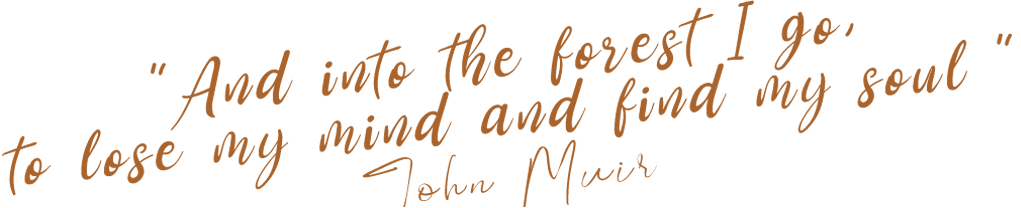 Citation John Muir "And into the forest I go, to lose my mind and find my soul".