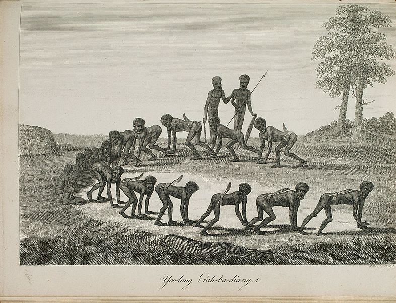 Dessin représentant 12 hommes, à 4 pattes, positionnés en demi-cercle, avec une épée attachée au niveau des reins pour représenter la queue du Dingo.