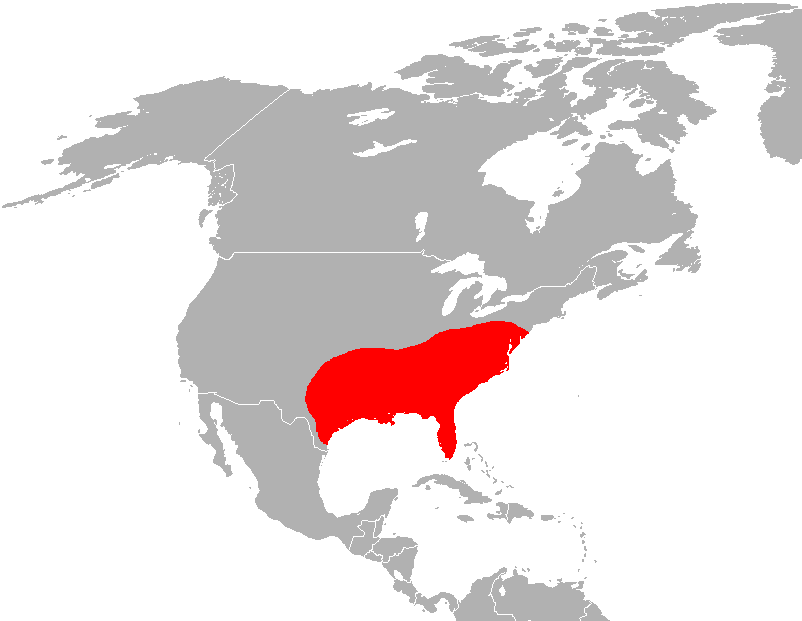 Carte de l'Amérique du Nord, avec le Sud-Est des États-Unis en rouge