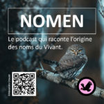 Sticker_Nomen_2