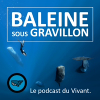 Vignette_Podcast_BSG_Fabrice_Guérin_2022