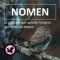 Vignette_Podcast_NOMEN_Alexandre_Crouzet_2022