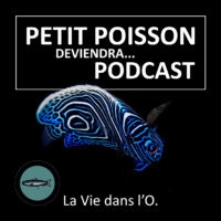 Vignette_Podcast_PPDP_Sylvain_Corbel_2022