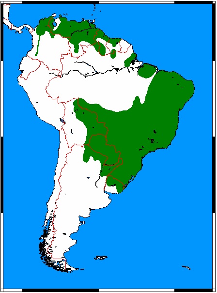 Carte de l'Amérique du Sud avec, en vert, l'aire de répartition du Renard crabier, au Nord, au Centre et à l'Est
