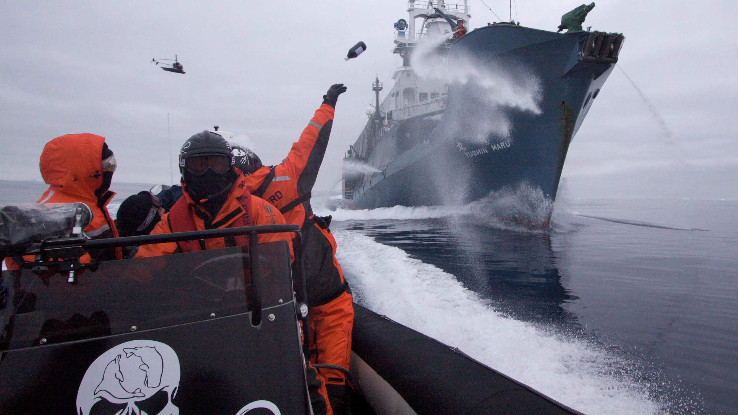 Paul Watson, l’interview (4/7) : Bateaux et bénévoles de Sea Shepherd