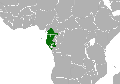 carte afrique centrale présence mandrills