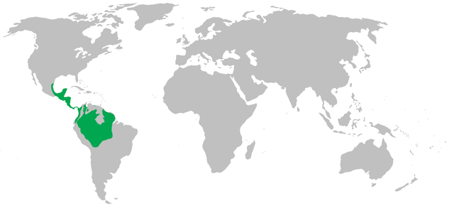 Carte de répartition des espèces d'Atèles