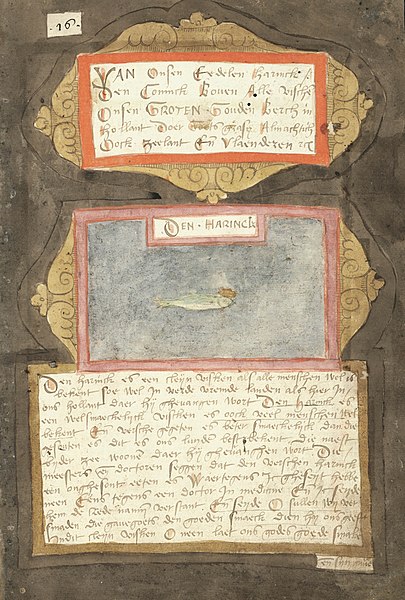 page manuscrite  sur le hareng de l'Atlantique extraite du livre le Viksboek de Coenen 