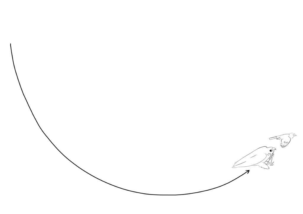 courbe du chien du Faucon pèlerin