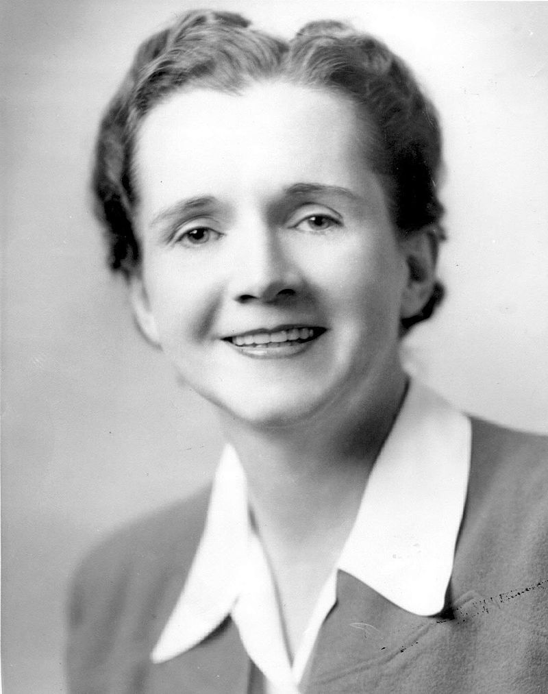 Portrait de Rachel Carson qui alerte sur l'impact des pesticides dès 1962 dans son livre "Printemps silencieux"