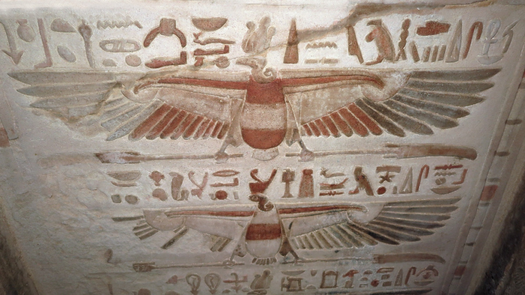 Vautours égyptiens mythes et réalité