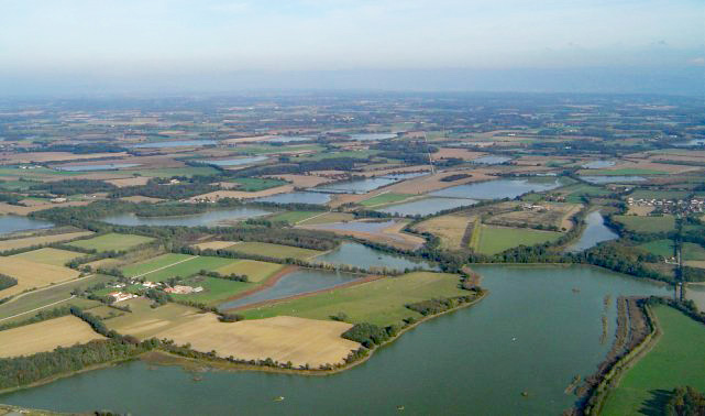 vue aérienne des étangs de la Dombes