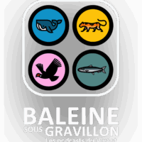 BSG_vertic grisé