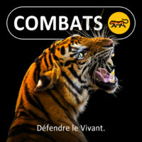 COMBATS