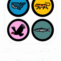 Espoir, pognon, et concrétude (2)