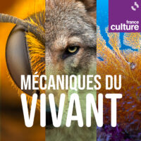FC_1400X1400_Vivant_Gener - Copie