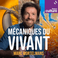 FC_3000x3000_Vivant_GenerMarc