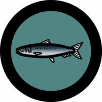 LOGO_PPDP_sardine