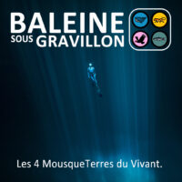 VIGNETTE_BSG_4MousqueTerres_square_NO_QR_©Fabrice_Guérin - Copie