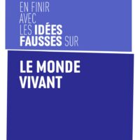 couv_IF