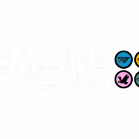 logo bsg