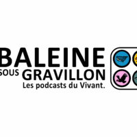 logo bsg noir