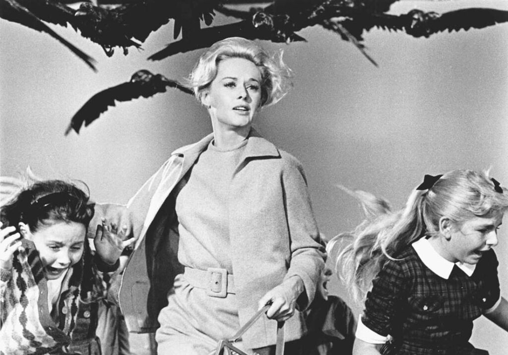 image tirée du film les oiseaux d'Alfred Hitchcock