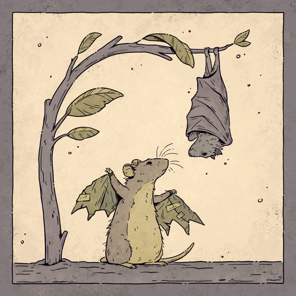rat et chauve-souris