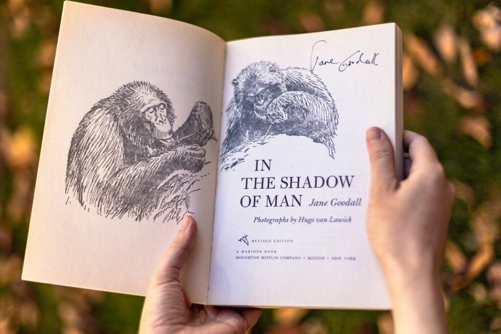 Illustration du livre de Jane Goodall, In the shadow of man