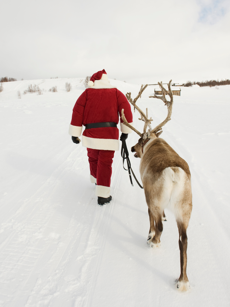 Le p&egrave;re No&euml;l pr&eacute;pare son traineau suivit d'un renne de no&euml;l