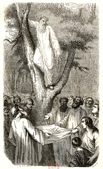Estampe du peintre Gustave Doré, présentant un Druide cueillant le Gui