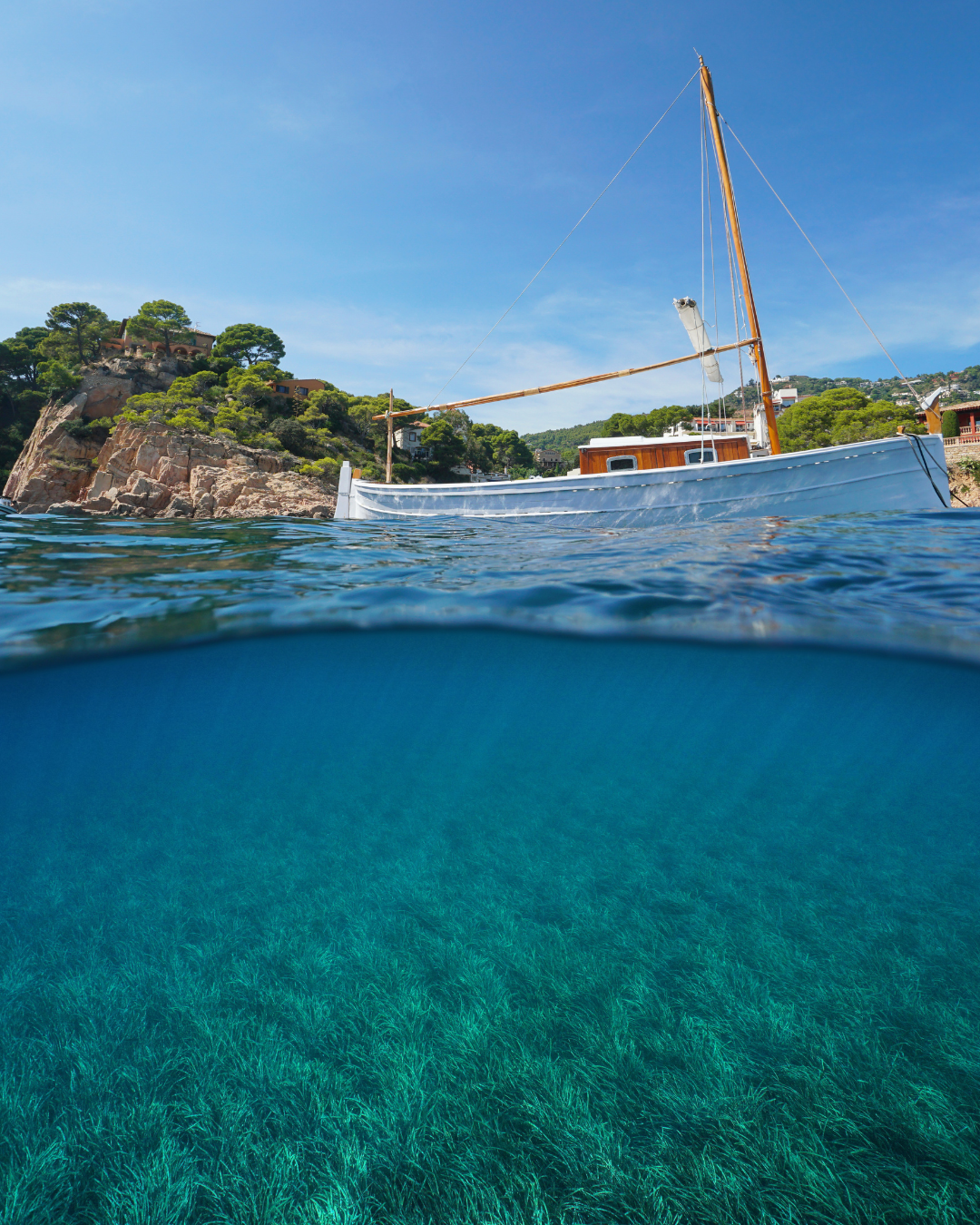 Bateau flotant au-dessus d'un herbier