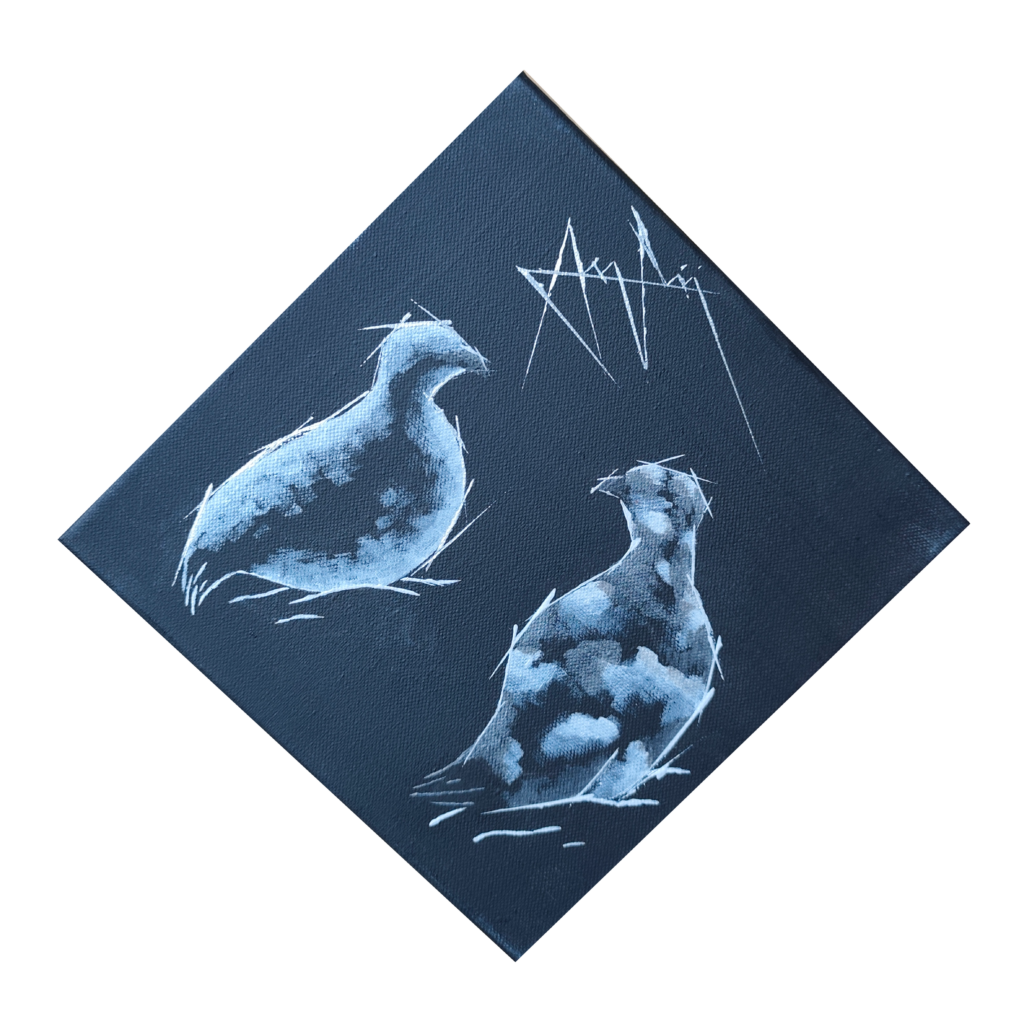 homochromie saisonni&egrave;re, illustration de Lagop&egrave;des